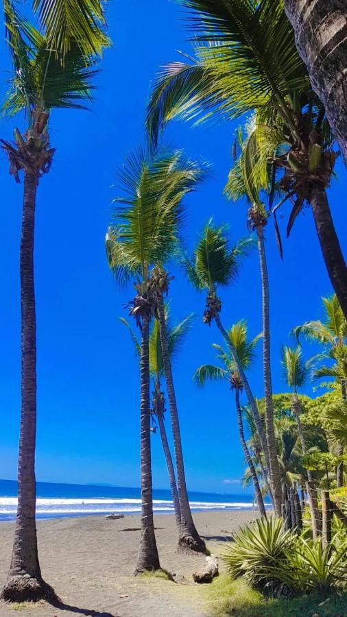 The Backyard Beachfront Hotel Jaco Ngoại thất bức ảnh