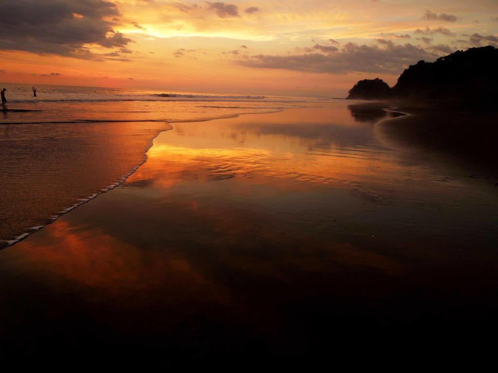 The Backyard Beachfront Hotel Jaco Ngoại thất bức ảnh